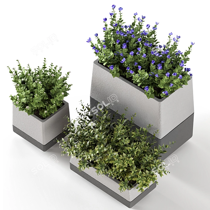 Title: Concrete Pot Outdoor Bushes 3D model image 4