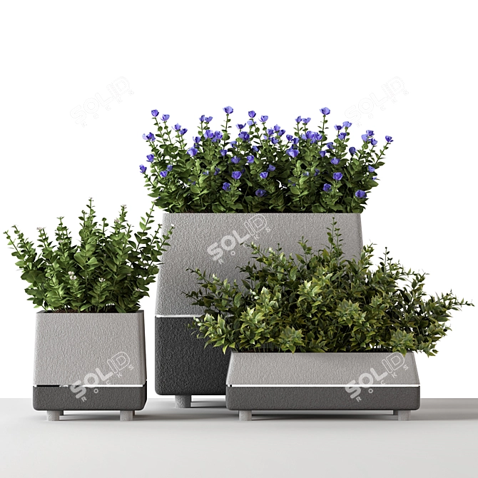 Title: Concrete Pot Outdoor Bushes 3D model image 9