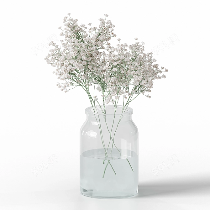 Delicate Gypsophila Jar Bouquet 3D model image 1