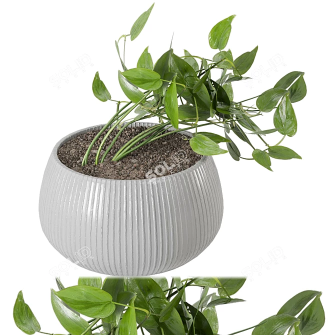 Green Oasis: Indoor Plants Set 3D model image 3