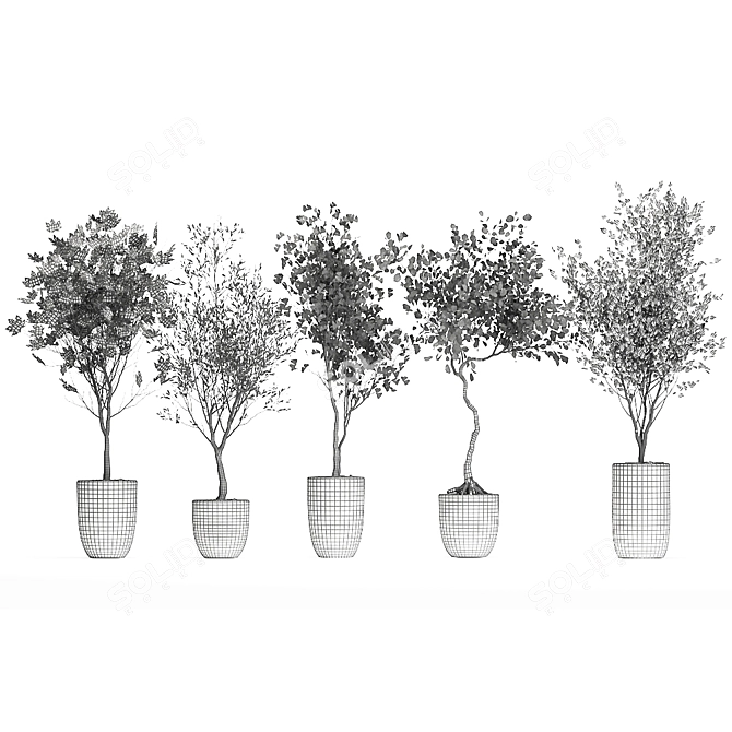 Olive Tree, Ginkgo Biloba & More: 1050-Piece Decorative Plant Collection 3D model image 7