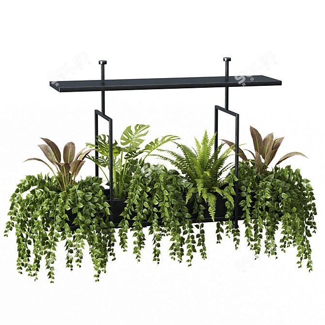 Hanging Plant Set - 05 Varieties 3D model image 2