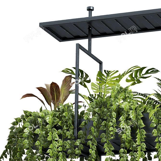 Hanging Plant Set - 05 Varieties 3D model image 4