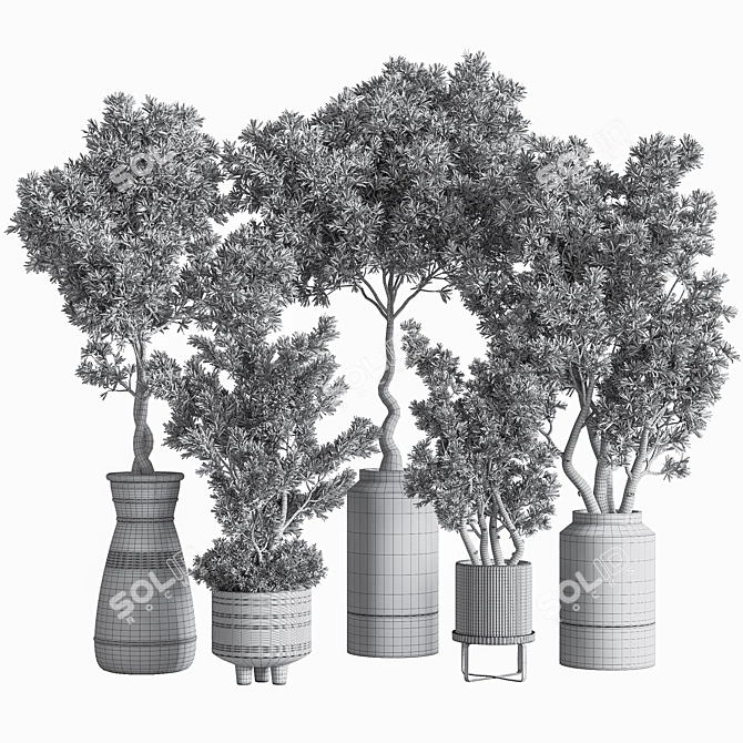 Lush Indoor Plant Set 3D model image 9