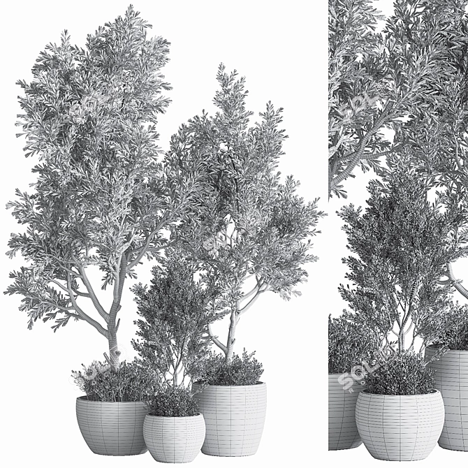 63-Piece Indoor Plant Set: Stunning 3D Models 3D model image 7