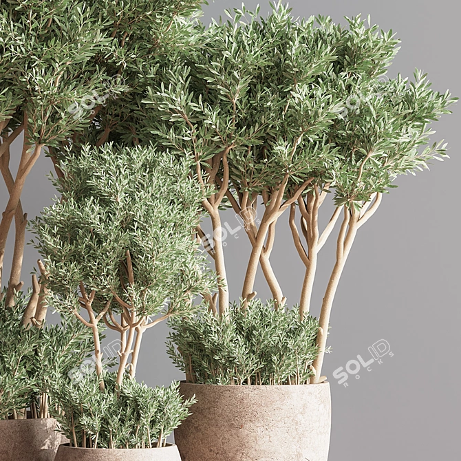 Green Oasis Indoor Plant Set 3D model image 3