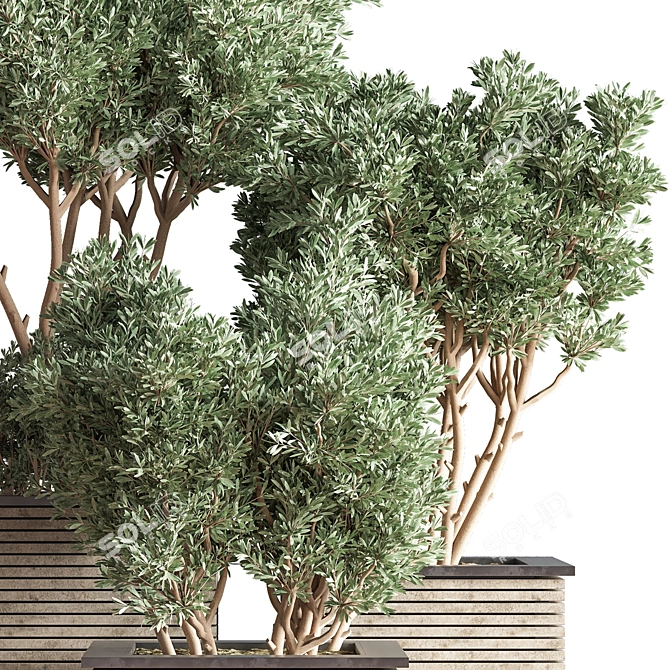 Outdoor Oasis Tree - Lifelike outdoor plant for a refreshing ambiance. 3D model image 6