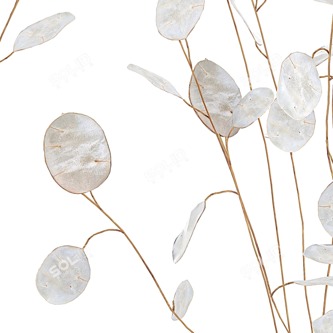 Elegant Dried Flower Bouquet 3D model image 5