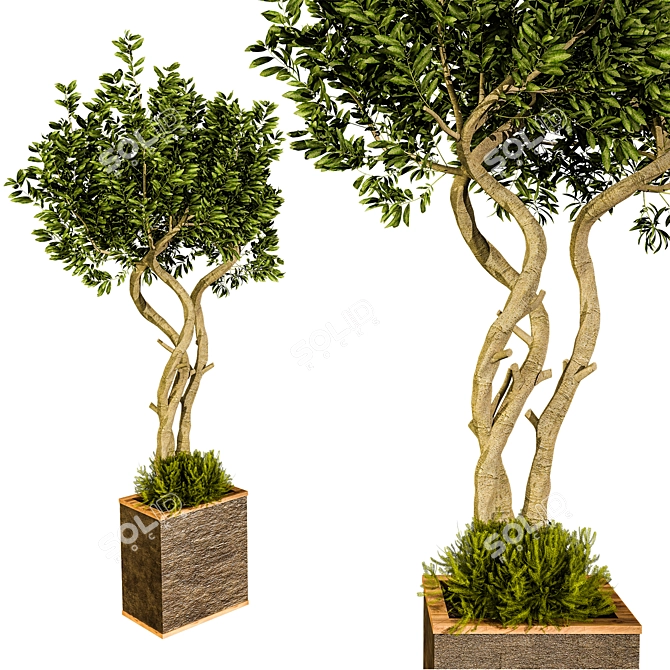 Outdoor Plant Vol 13 - 2015 Version 3D model image 1