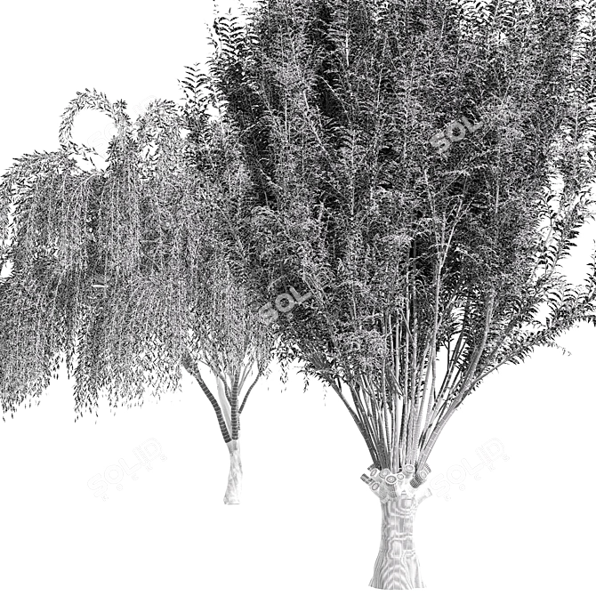 Cascade Willow Tree: Stunning 3D Model 3D model image 4