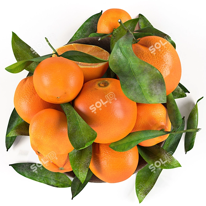 Citrus Delight Bowl: 3D Model Formats 3D model image 7