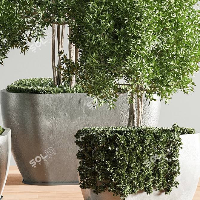 Tropical Plant Set for Gorgeous Interiors 3D model image 4