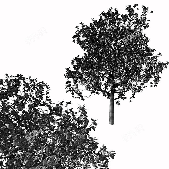 Majestic Apple Tree - 3.5m Tall 3D model image 2