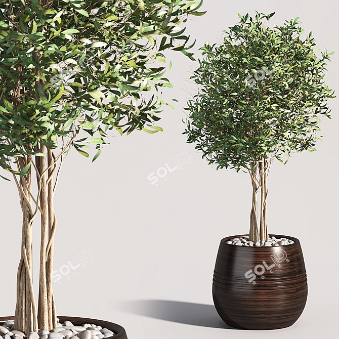 Tropical Greenery Collection 3D model image 4