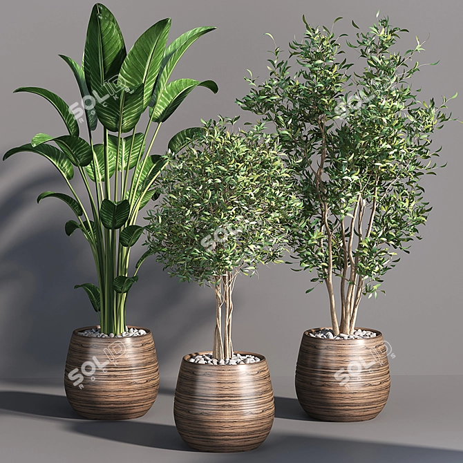 Tropical Greenery Collection 3D model image 8