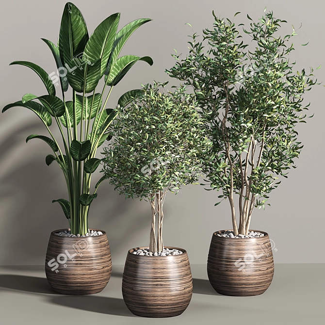 Tropical Greenery Collection 3D model image 9