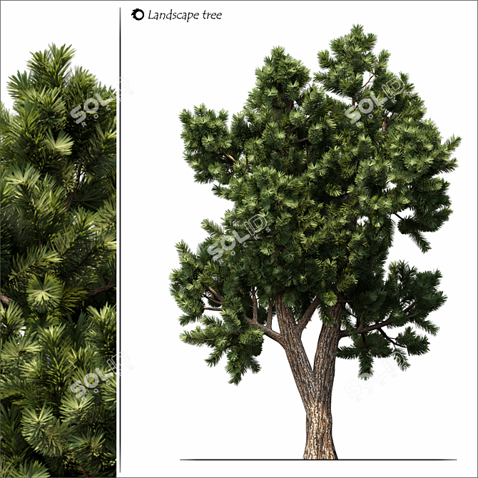 Nature's Haven: Exquisite Landscape Tree 3D model image 1