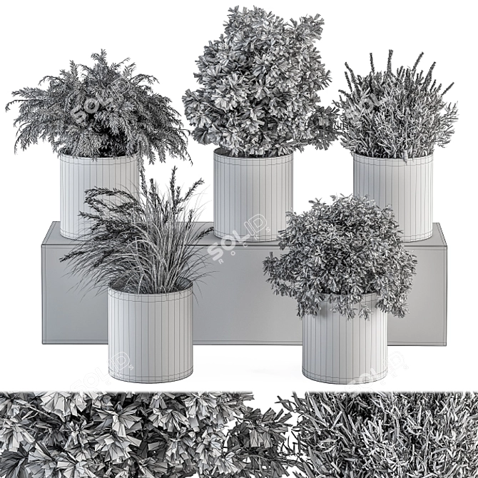 305 Indoor Plant Set: Small Pot 3D model image 5