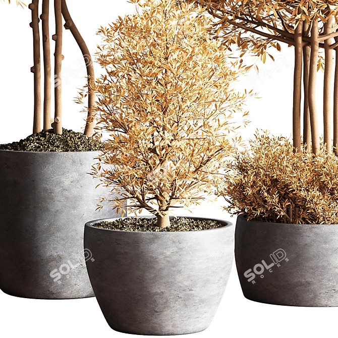 Autumn Leaves Indoor Plant Set 3D model image 4