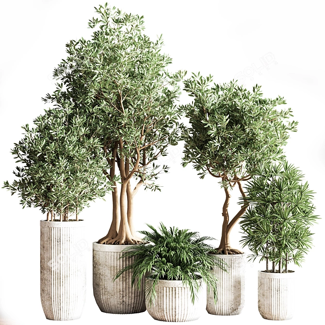 Modern Indoor Plant Set 3D model image 1