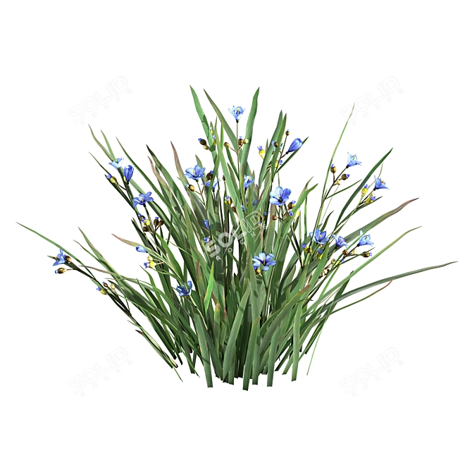 BlueEyeGrass: Stunning 3D Ground Cover 3D model image 2