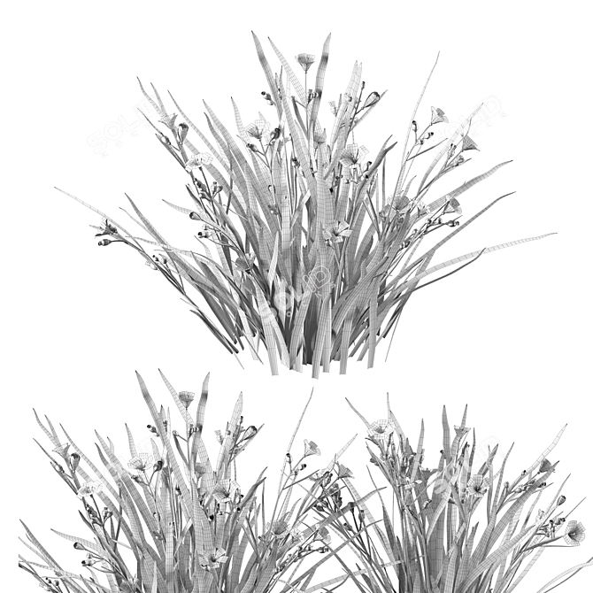 BlueEyeGrass: Stunning 3D Ground Cover 3D model image 5