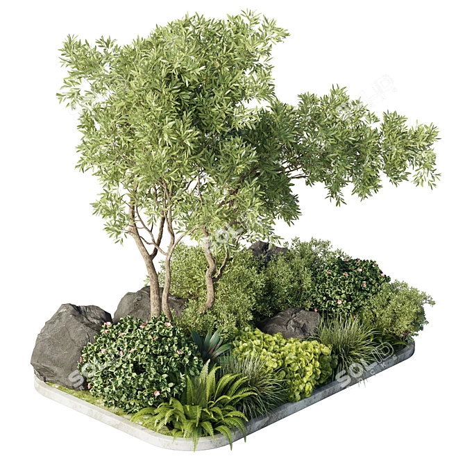 Outdoor Indoor Pot Plant Collection - 62 Varieties 3D model image 2