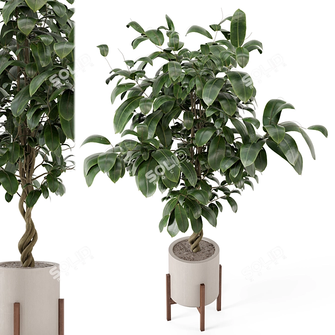 Wood & Concrete Indoor Plant Set 3D model image 2