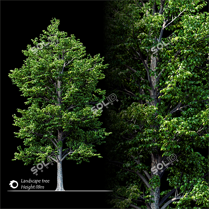  Majestic Landscape Tree 2014 3D model image 1