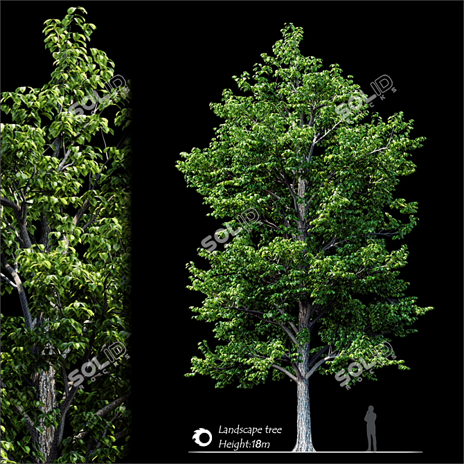  Majestic Landscape Tree 2014 3D model image 2