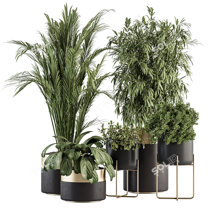 Elegant Greenery: Black & Gold Indoor Plant Set 3D model image 1