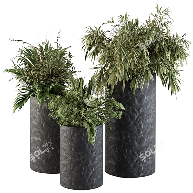 Concrete Pot Plant Set 3D model image 1