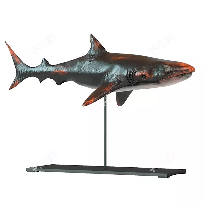 Oceanic Shark Sculpture 3D model image 1