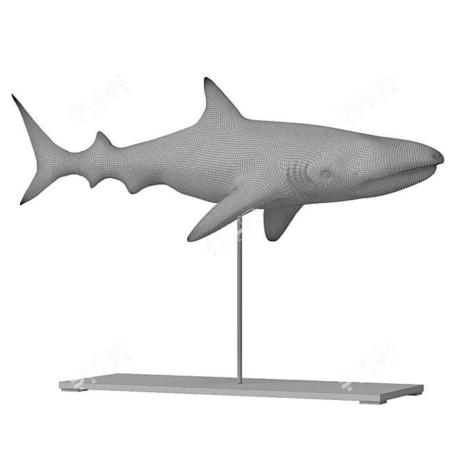 Oceanic Shark Sculpture 3D model image 2