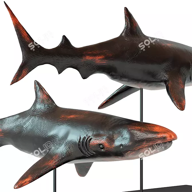 Oceanic Shark Sculpture 3D model image 3