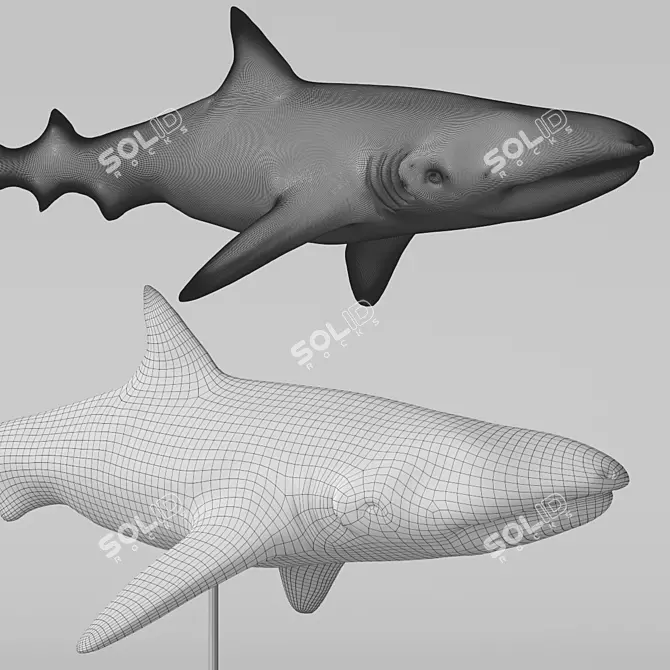 Oceanic Shark Sculpture 3D model image 4