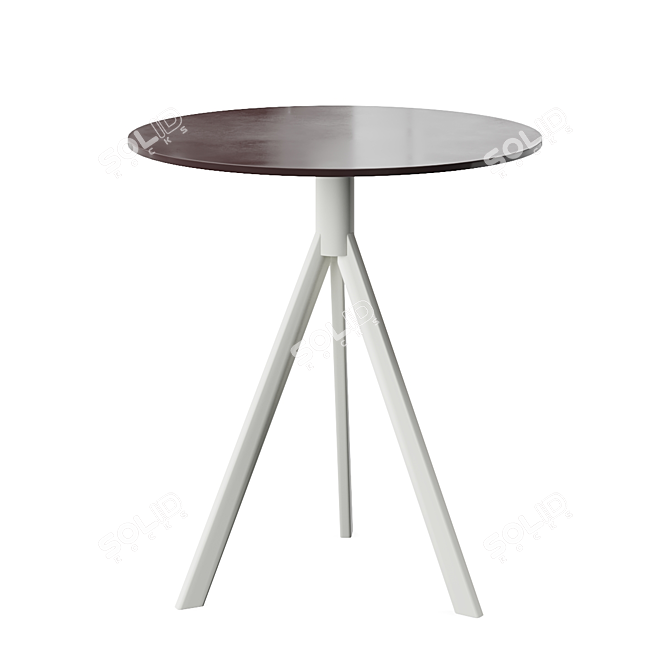 Minimalist Cafe Side Table 3D model image 2