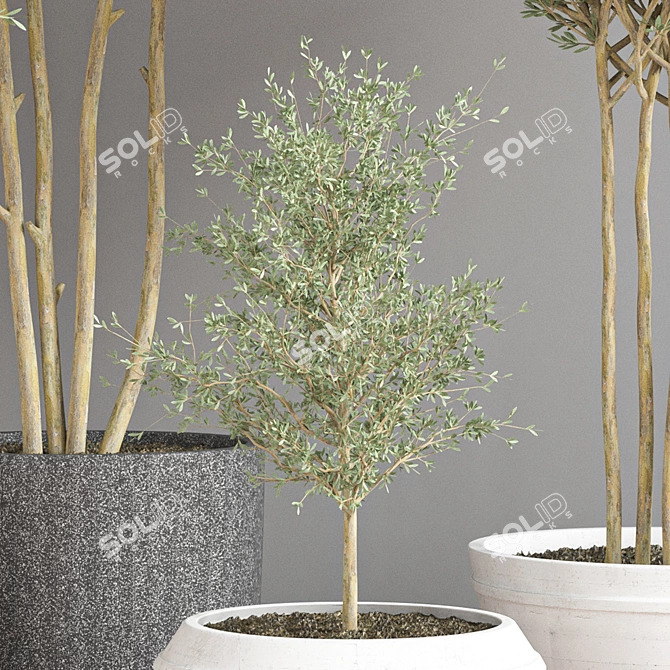 Green Oasis Indoor Plant Set 3D model image 4