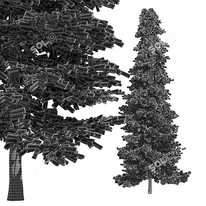 Black Spruce Pine: Tall and Realistic 3D Model 3D model image 4