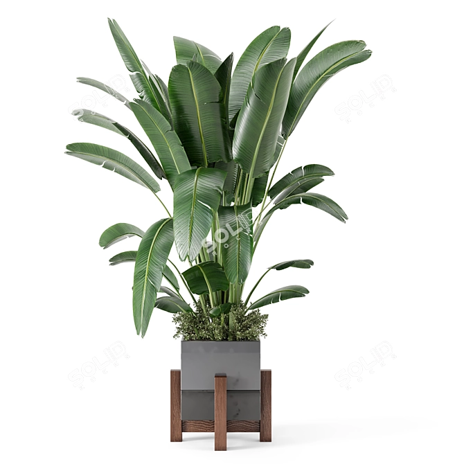 Rustic Concrete Pot Indoor Plants 3D model image 5