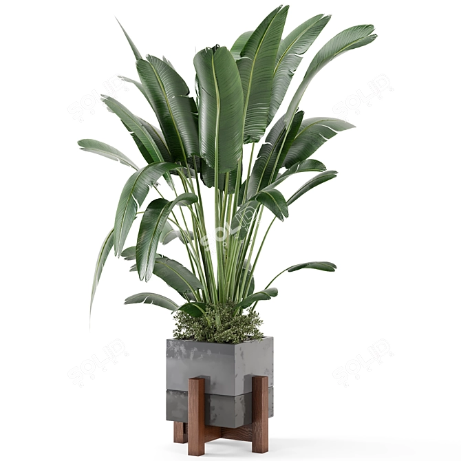 Rustic Concrete Pot Indoor Plants 3D model image 6