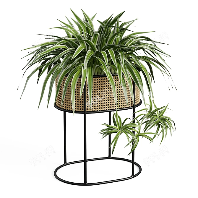 Vintage-Inspired Woven Caning Planter 3D model image 1