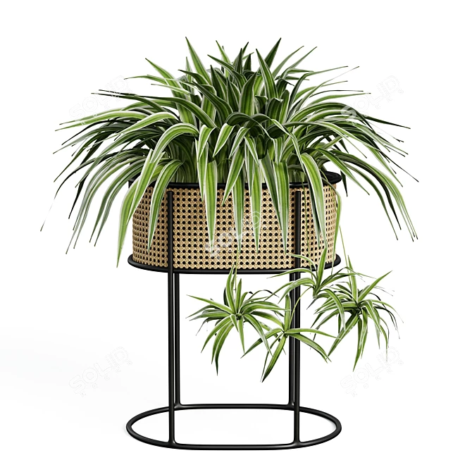 Vintage-Inspired Woven Caning Planter 3D model image 2