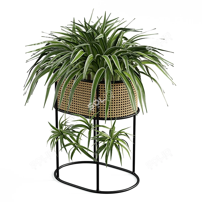Vintage-Inspired Woven Caning Planter 3D model image 3