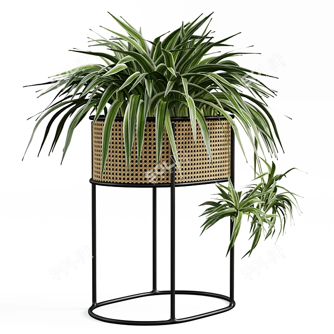 Vintage-Inspired Woven Caning Planter 3D model image 5