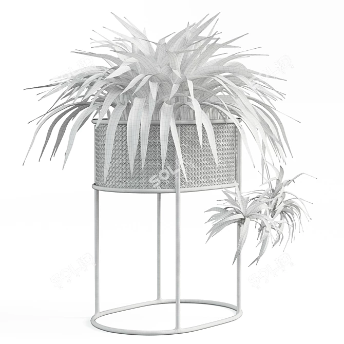 Vintage-Inspired Woven Caning Planter 3D model image 6