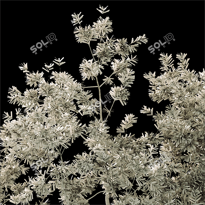 2014 Landscape Tree - 12m Height, Corona Render 3D model image 3