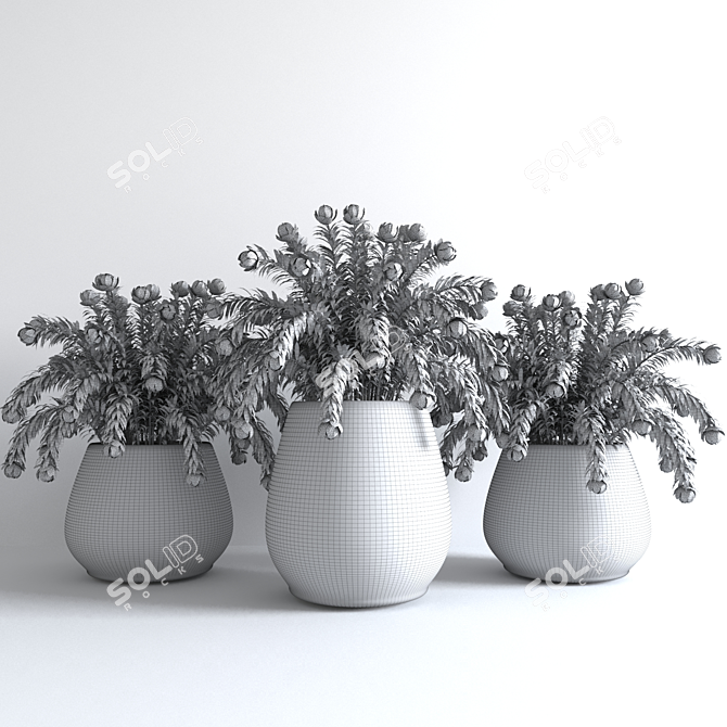 Colorful Flower Pot Collection 3D model image 5