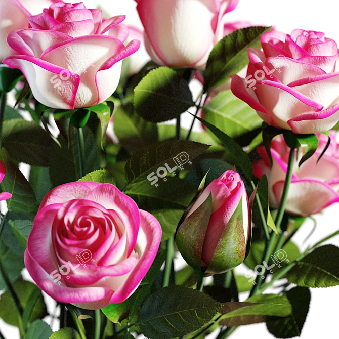 Elegant Pink Roses Bouquet 3D model image 6