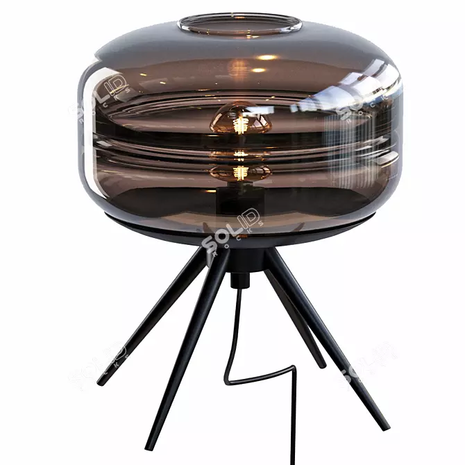 Adler Glass Dome Lamp: Modern Illuminate 3D model image 1